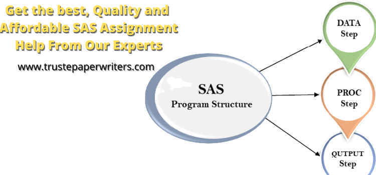best service for Sas Assignment Help
